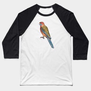 Adelaide Rosella Baseball T-Shirt